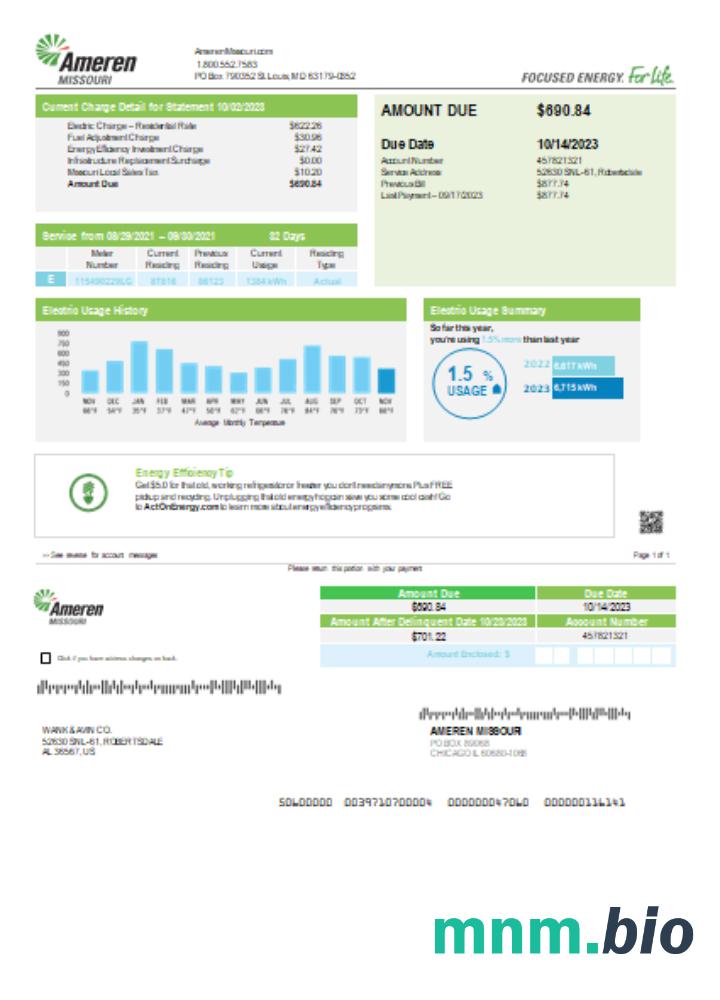 Ameren Missouri electricity rachunek za usługi komunalne, page 1